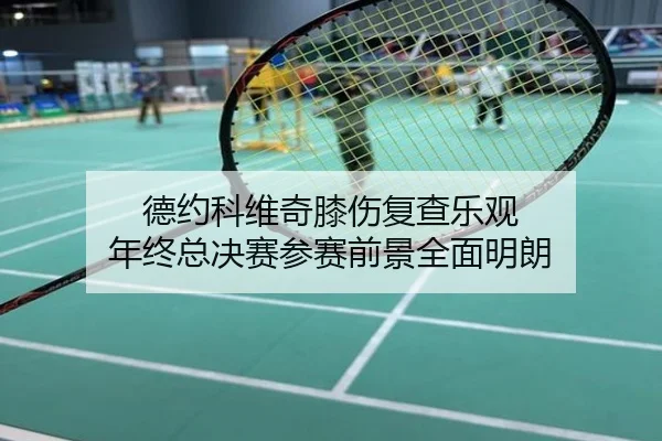 德约科维奇膝伤复查乐观 年终总决赛参赛前景全面明朗