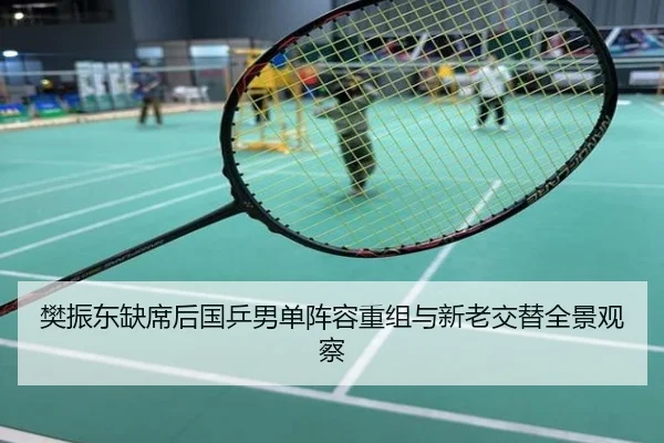樊振东缺席后国乒男单阵容重组与新老交替全景观察